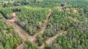 Property photo for land for sale in Franklin County Mississippi