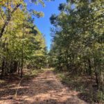 Property photo for land for sale in Bibb County Alabama