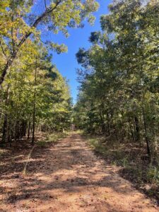 Property photo for land for sale in Bibb County Alabama