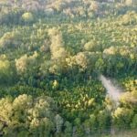 Property photo for land for sale in Hinds County Mississippi