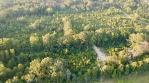 Property photo for land for sale in Hinds County Mississippi