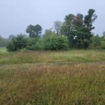 Property photo for land for sale in Amherst County Virginia