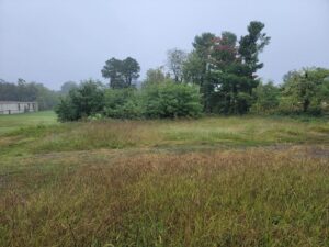 Property photo for land for sale in Amherst County Virginia