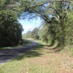 Property photo for land for sale in Pike County Mississippi