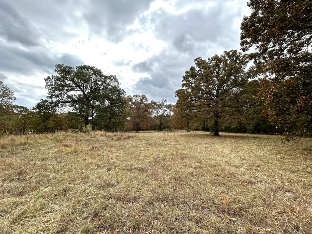 Property photo for land for sale in Lamar County Texas