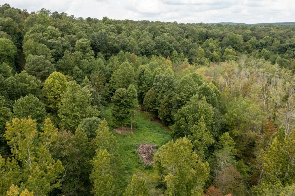 Property photo for land for sale in Lewis County Tennessee