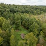 Property photo for land for sale in Lewis County Tennessee