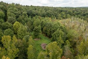 Property photo for land for sale in Lewis County Tennessee