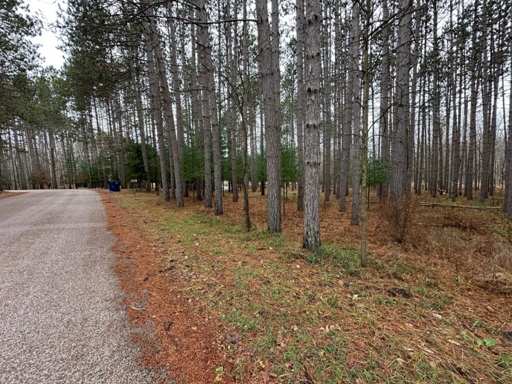 Property photo for land for sale in Waupaca County Wisconsin