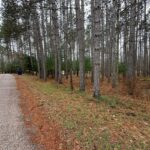 Property photo for land for sale in Waupaca County Wisconsin