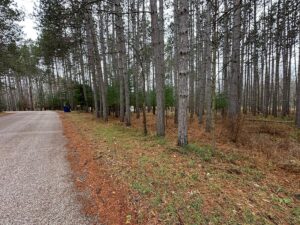 Property photo for land for sale in Waupaca County Wisconsin