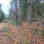 Property photo for land for sale in Marion County Arkansas