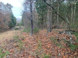 Property photo for land for sale in Marion County Arkansas