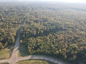 Property photo for land for sale in Hinds County Mississippi