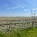 Property photo for land for sale in Ellis County Texas