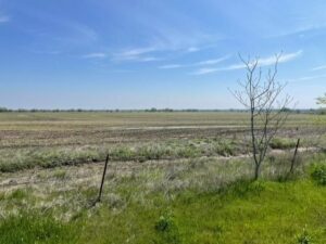 Property photo for land for sale in Ellis County Texas