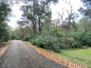 Property photo for land for sale in Shelby County Texas