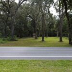 Property photo for land for sale in Dixie County Florida