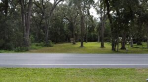 Property photo for land for sale in Dixie County Florida