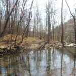 Property photo for land for sale in Stone County Arkansas