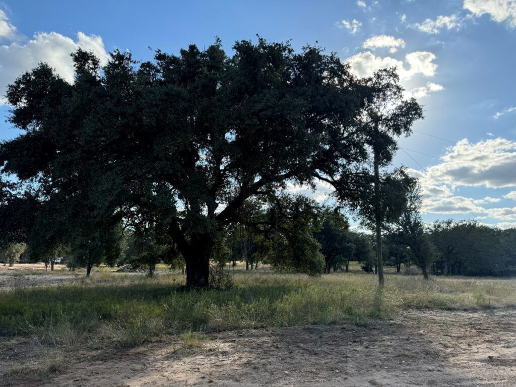 Property photo for land for sale in Coryell County Texas