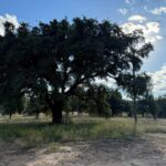 Property photo for land for sale in Coryell County Texas