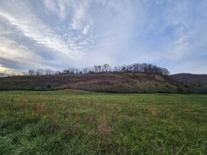 Property photo for land for sale in Washington County Virginia