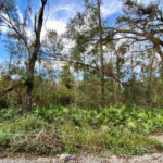 Property photo for land for sale in Hamilton County Florida