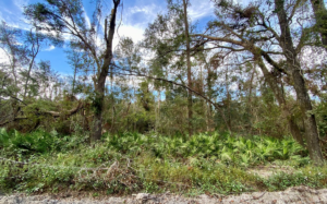 Property photo for land for sale in Hamilton County Florida