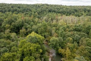 Property photo for land for sale in Lewis County Tennessee