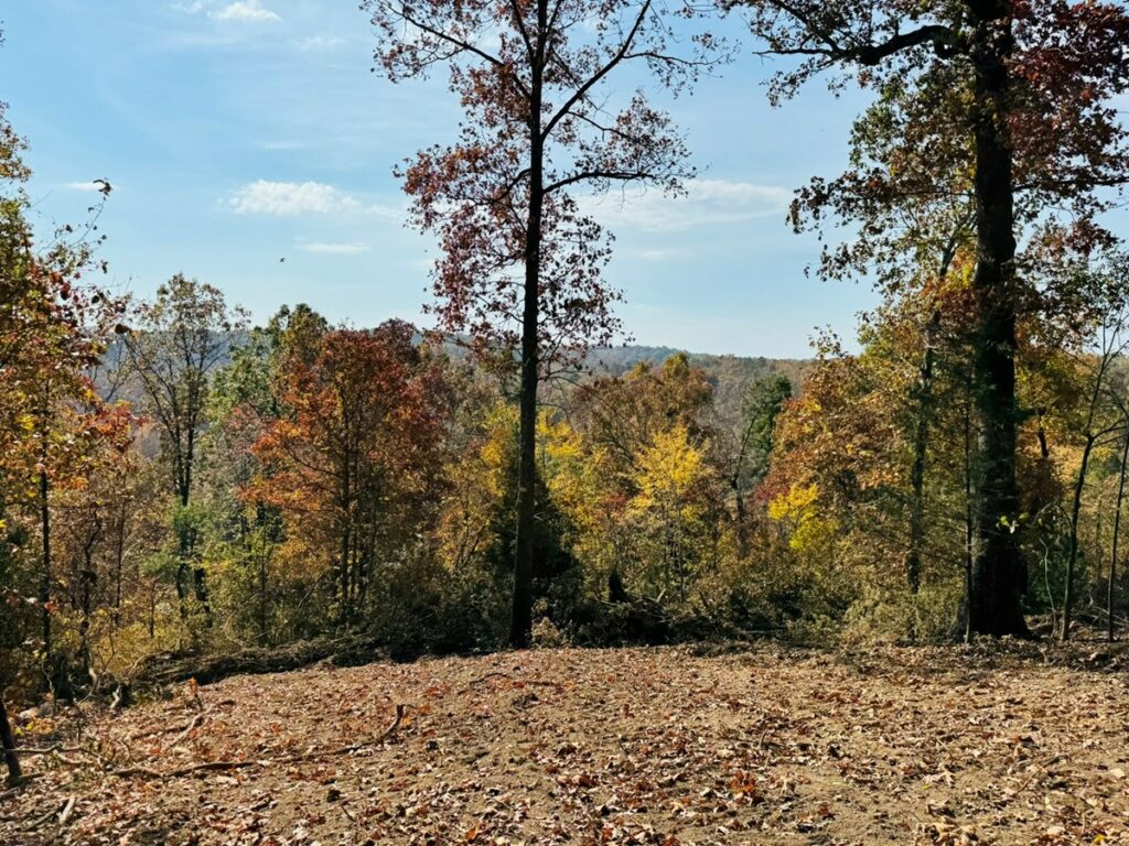 Property photo for land for sale in Izard County Arkansas