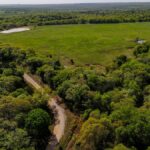 Property photo for land for sale in Montague County Texas