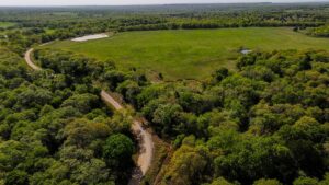 Property photo for land for sale in Montague County Texas