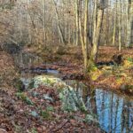 Property photo for land for sale in Mecklenburg County Virginia