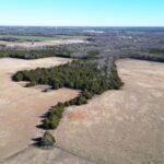 Property photo for land for sale in Lamar County Texas