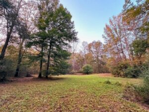 Property photo for land for sale in Pike County Mississippi