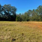 Property photo for land for sale in Pike County Mississippi