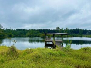 Property photo for land for sale in Jackson County Mississippi