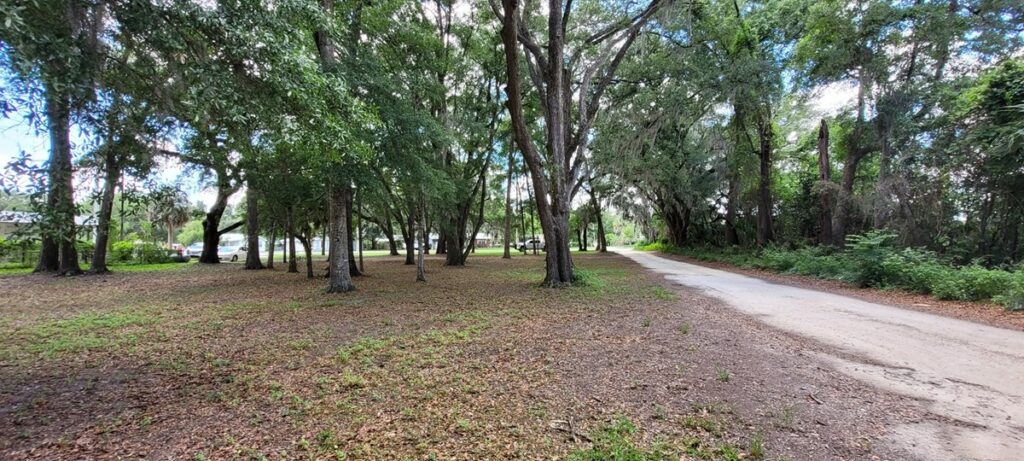 Property photo for land for sale in Levy County Florida