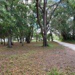 Property photo for land for sale in Levy County Florida