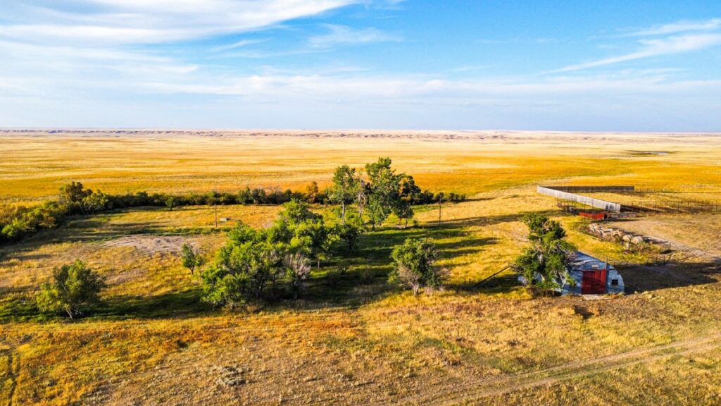 Property photo for land for sale in Phillips County Montana