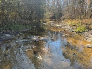 Property photo for land for sale in Izard County Arkansas