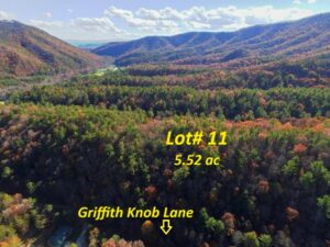 Property photo for land for sale in Wythe County Virginia