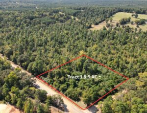 Property photo for land for sale in Cass County Texas