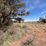 Property photo for land for sale in Coconino County Arizona