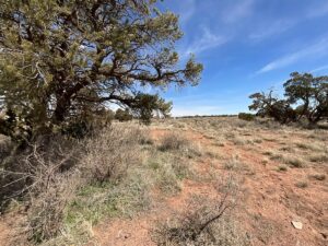 Property photo for land for sale in Coconino County Arizona