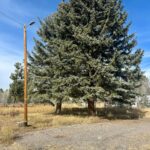 Property photo for land for sale in Rio Arriba County New Mexico