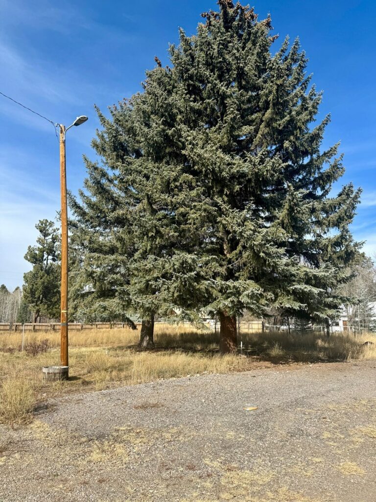 Property photo for land for sale in Rio Arriba County New Mexico