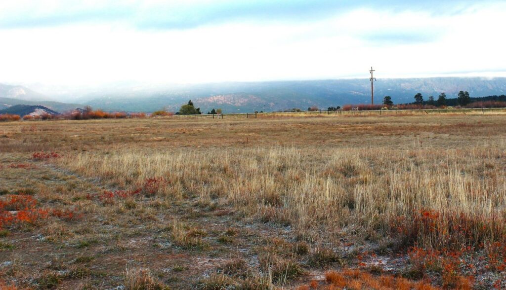 Property photo for land for sale in Rio Arriba County New Mexico