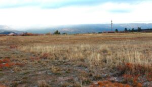 Property photo for land for sale in Rio Arriba County New Mexico